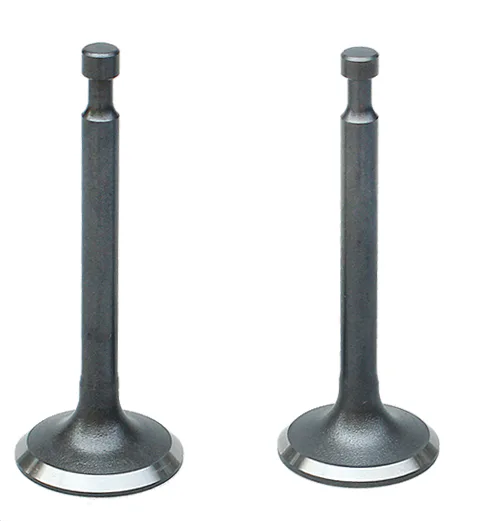 Intake and exhaust valves product image